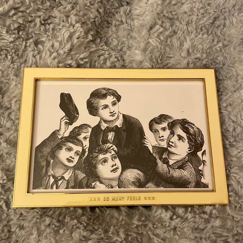 “So Many Feels” easy tiger cream and gold, 4x6 picture frame.